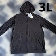 3l