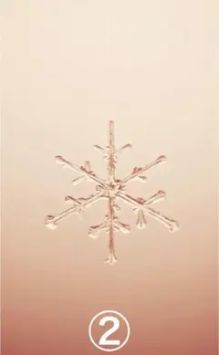 【専用②】ほのぼの異世界転生デイズ 8