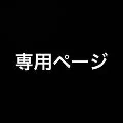 専用ページ