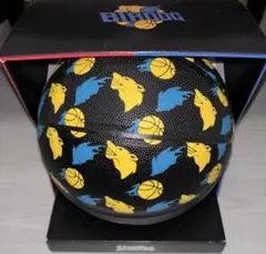 BIRDOG バードック バスケットボール ポップアップストア限定品 箱付き BIRDOG バードック バスケットボール ポップアップストア限定品 箱付き