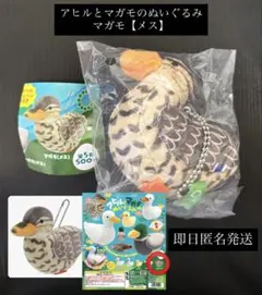 アヒルとマガモのぬいぐるみ マガモ【メス】