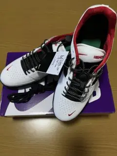 NIKE SB ISHOD PRM L 新品