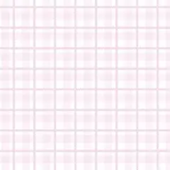 専用