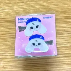 IVE ウォニョン MINIVE CHERRY チェリー ペンライト ストラップ 新品】IVE minive ウォニョン CHERRY チェリー キーホルダー