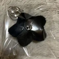 ヘチャン　まとめ売り　黒ヒトデ　キーリング　ペンライトキャップチャーム　イリチル ヘチャンまとめ売り黒ヒトデキーリングペンライトキャップ