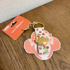 ディズニー ダッフィー&フレンズ カチューシャホルダー