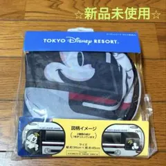 【レア】東京ディズニーリゾート カーサンシェード 窓 2枚セットのサムネイル
