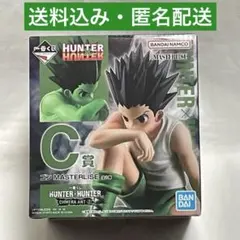 一番くじ HUNTER×HUNTER C賞 ゴン おまけ付き