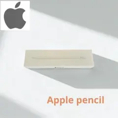 【美品】Apple Pencil (第2世代)