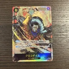 クロコダイル op14-120 パラレル