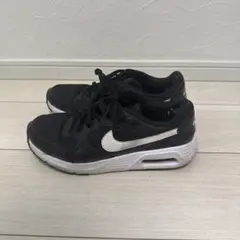 Nike Air Max SC スニーカー　26cm