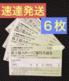 ６枚速達★東急不動産ホールディングス 株主優待　スキー場リフト割引券スポーツ