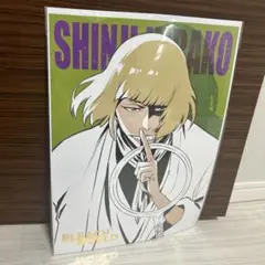 bleach ブリーチ　 2008 ポスター 平子真子　猿柿ひより　1枚 平子真子 猿柿ひよ里 ポスター - メルカリ