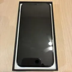 iPhone12 Pro パシフィックブルー 256GB