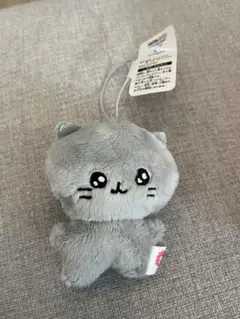 チェゴシムねこ　マスコット プライズ　美品 ぬいぐるみ　キーホルダー