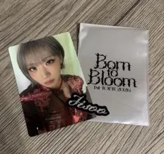 おまけ付き！　HANA ジス Born to Bloom トレカ ステッカー