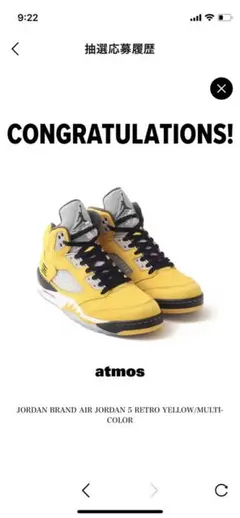 Nike Air Jordan 5 Retro 