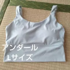 匿名配送　andar Be-Free オールデイロングラインブラトップ グレー