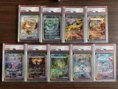 ブイズ テラスタルフェス SAR PSA 一部連番