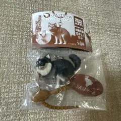ふんばりーぬ　マルチチャーム　チワワ