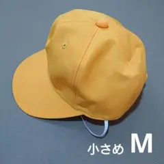 Item thumbnail for item d90bec4a-c1f0-4d13-922f-a60a1d344289