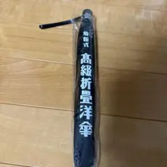 折り畳み傘　黒