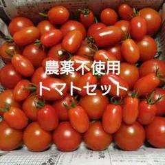農薬不使用　ミニトマト・中玉トマトセットのサムネイル