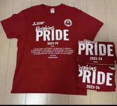 名古屋ダイヤモンドドルフィンズ Tシャツ 2023-24 3枚