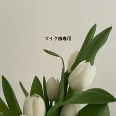マイク スピケア V3 Cクレンザー Cエマルジョン 新品 楽天市場】【公式認定ストア】スピケア V3 VSPIC C クレンザー