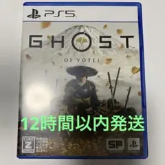 ゴーストオブヨーテイ　PS5