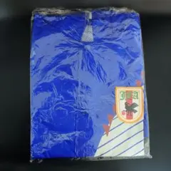 定価¥2200】横浜Fマリノス 2026ナンバータオル 谷村海那 9 - メルカリ