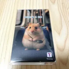 韓国交通カード Tmoney