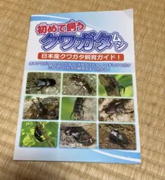 Item thumbnail for item 1b857620-6704-47a9-a6e0-ea22c4e4a7a2