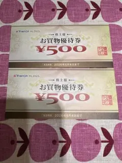 ヤマダ電機　株主様お買物優待券　1000円分