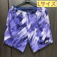 ⭐激レア DESCENTE デサント バレーボール ゲームパンツ 国体 ブルー