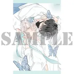♡とらのあな BLコミックフェア2025 千野ち A3タペストリー♡