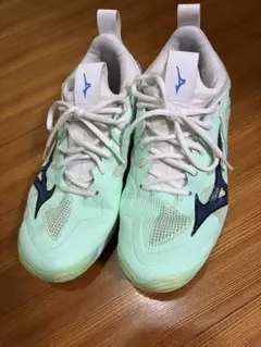 Mizuno バレーボールシューズ ミントグリーン