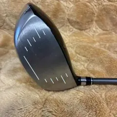 Item thumbnail for item bad9f2f9-77b6-4b24-ac5d-53c493638e0d