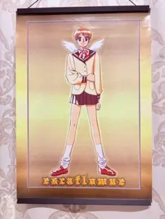 天空のエスカフローネ」神崎ひとみB2ポスター中古品 - メルカリ