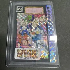 ドラゴンボールカードダス 孫悟飯 No.10 めちゃんこプロジェクト 8327 ドラゴンボールカードダス 孫悟飯 No.10 めちゃんこプロジェクト 8327