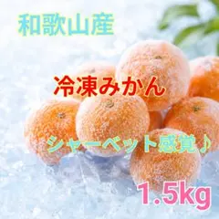 和歌山産　皮付き　冷凍みかん　1.5kg　【クール宅急便】のサムネイル