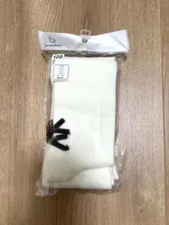 Item thumbnail for item 8e75ae6d-8a5c-4cf5-b876-f4a6ab10e611