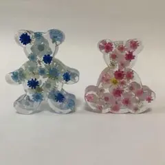 固まるハーバリュウム ベアセット