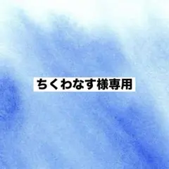 ちくわなす様専用　フラッグクリップ