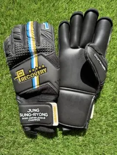 キーパーグローブ GKグローブ プレカバリー  9号 チョンソンリョン