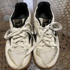 ミズノ 23 Mizuno 卓球シューズ クロスマッチプリオ RX4