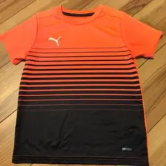 Puma DRYCELL ストライプシャツ オレンジ/黒　140cm