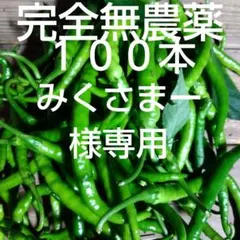 青唐辛子　生唐辛子　インドジンウソツカナイ　激辛唐辛子　６月３０日１６時収穫のサムネイル
