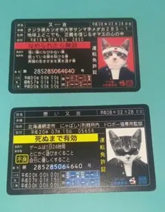 2026年最新】なめ猫免許証の人気アイテム - メルカリ
