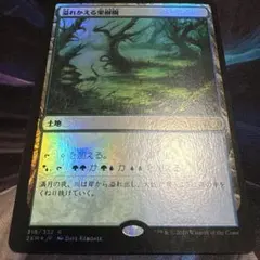 【まとめ買い200値引】溢れかえる果樹園 日本語 FOIL 2XM